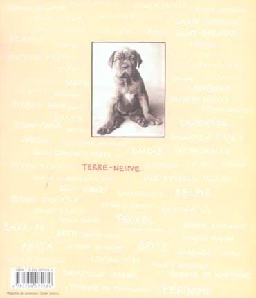 media/pim/TITELIVE/25_9782258070080_4_75.jpg