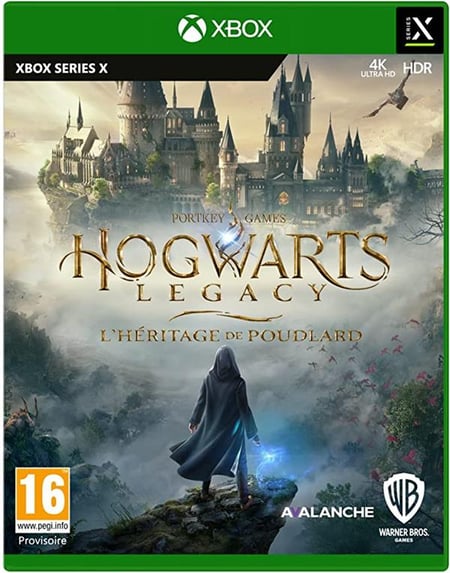 Hogwarts Legacy: L'Héritage de Poudlard Nintendo Switch - Jeux vidéo -  Achat & prix