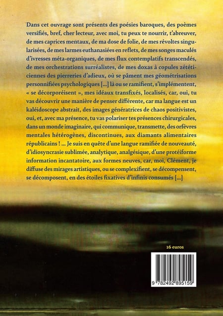 media/pim/TITELIVE/27_9782492895159_4_75.jpg