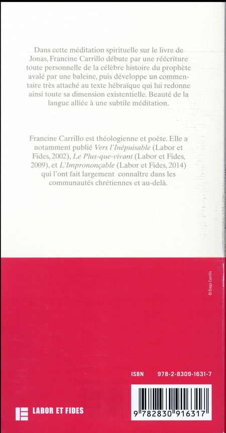 media/pim/TITELIVE/28_9782830916317_4_75.jpg