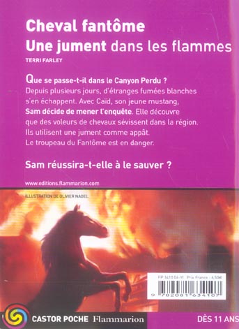 media/pim/TITELIVE/29_9782081634107_4_75.jpg