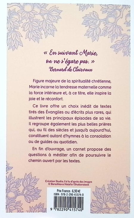media/pim/TITELIVE/29_9782290415740_4_75.jpg