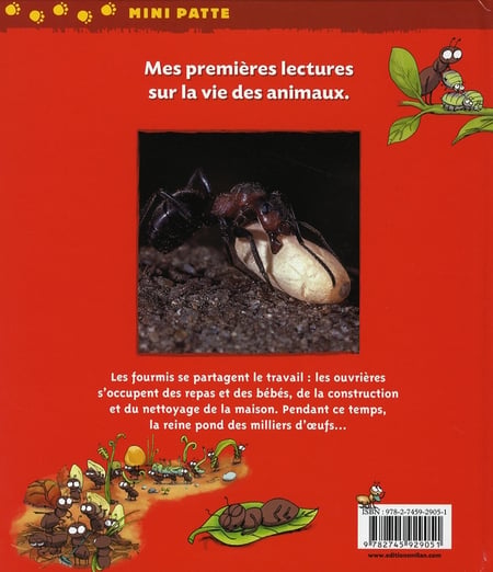 media/pim/TITELIVE/29_9782745929051_4_75.jpg