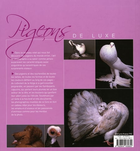 media/pim/TITELIVE/29_9782844165855_4_75.jpg