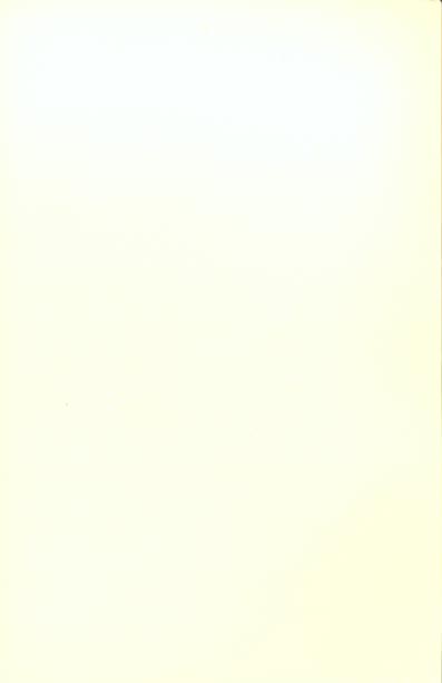 media/pim/TITELIVE/2_9782851943361_4_75.jpg
