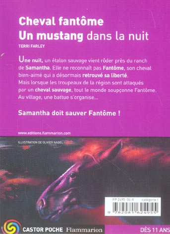media/pim/TITELIVE/31_9782081624955_4_75.jpg