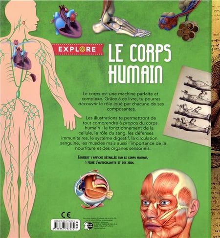 media/pim/TITELIVE/31_9788467767070_4_75.jpg