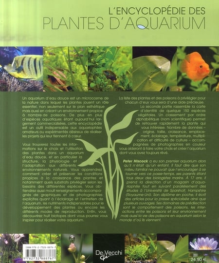 Les 8 meilleures plantes de premier plan pour aquarium
