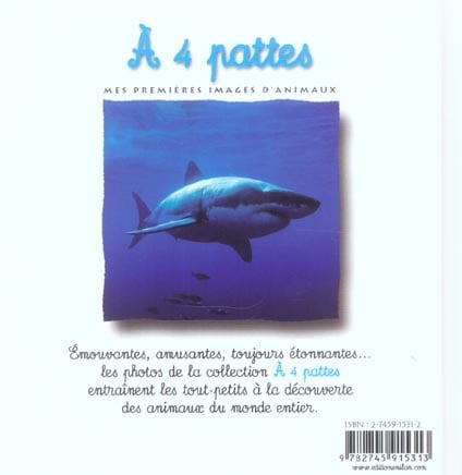 media/pim/TITELIVE/36_9782745915313_4_75.jpg