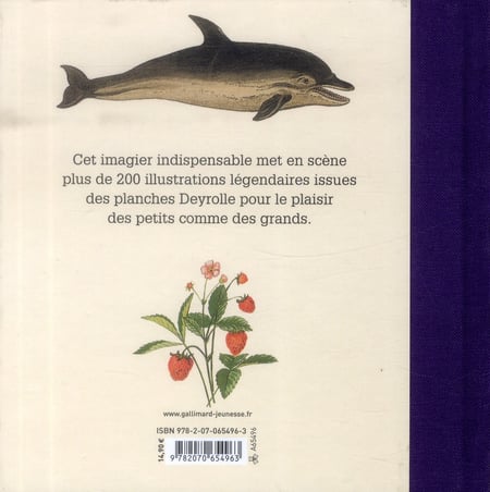 media/pim/TITELIVE/38_9782070654963_4_75.jpg