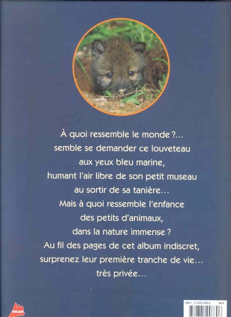 media/pim/TITELIVE/38_9782745907806_4_75.jpg