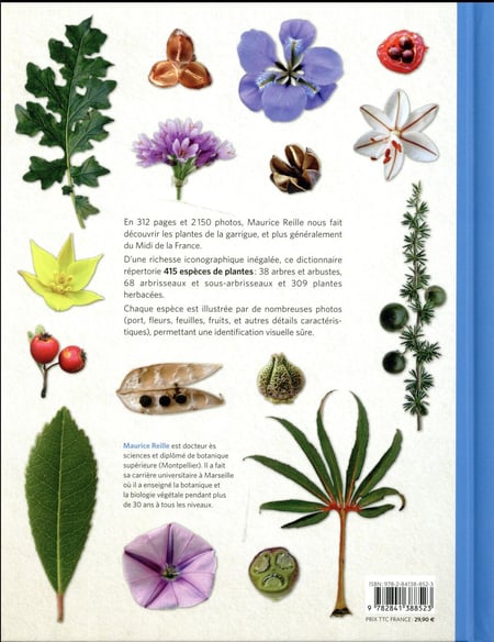 bricolage et jardinage > jardinage > jeu de petits outils image -  Dictionnaire Visuel
