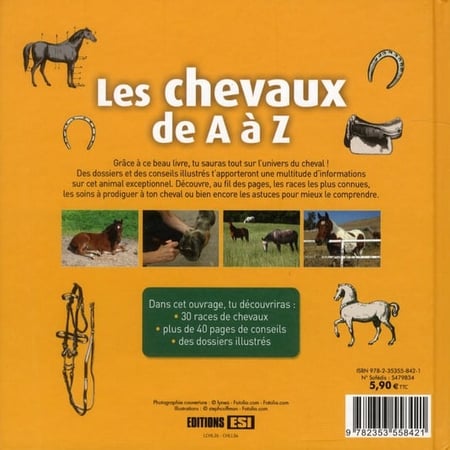 COLLECTIF - Les Chevaux - Animaux - LIVRES -  - Livres +  cadeaux + jeux