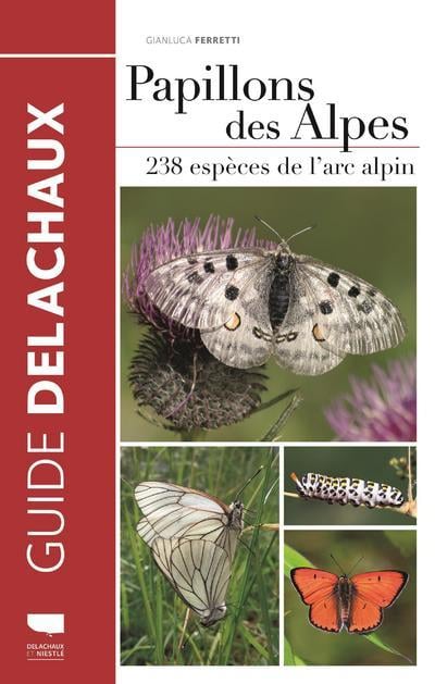 Papillons des Alpes