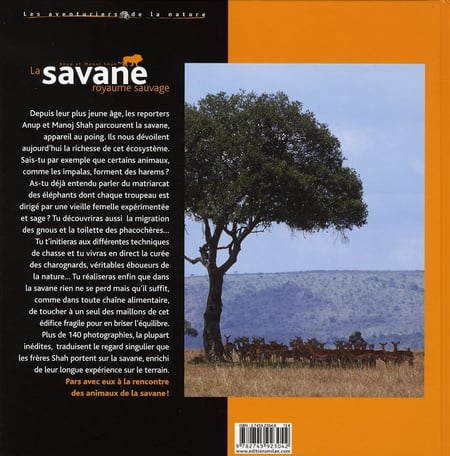 Figurine Papo 60113 - La Savane (Royaume Des Animaux Sauvages) - Figurine Détaillée Multicolore