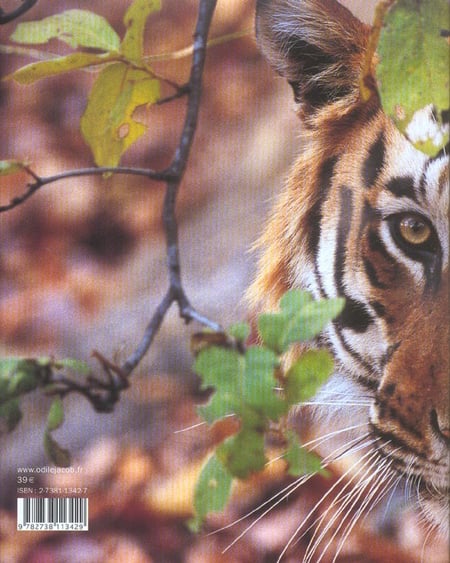 media/pim/TITELIVE/40_9782738113429_4_75.jpg