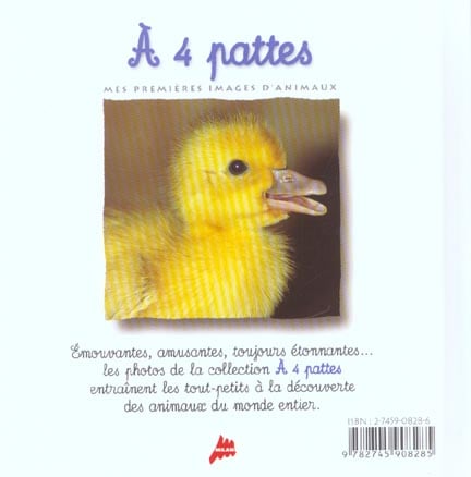 media/pim/TITELIVE/40_9782745908285_4_75.jpg