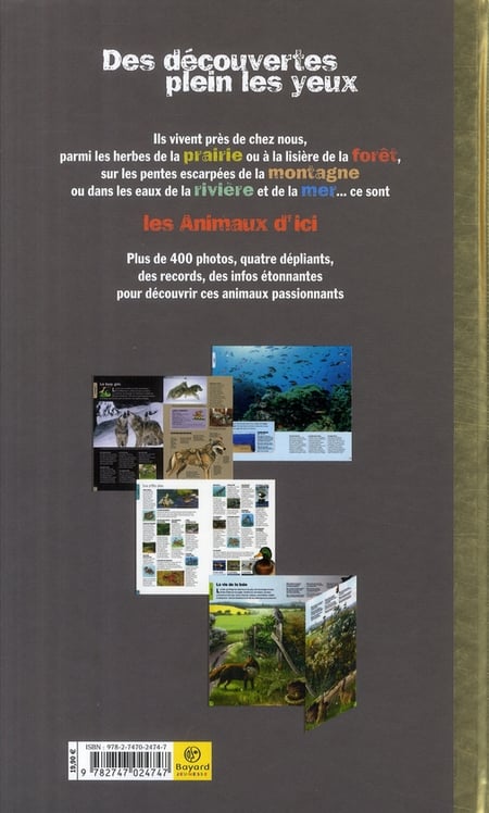 media/pim/TITELIVE/40_9782747024747_4_75.jpg