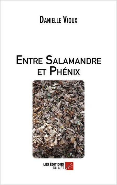 media/pim/TITELIVE/41_9782312017655_1_75.jpg