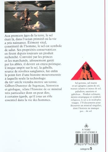 media/pim/TITELIVE/42_9782070763825_4_75.jpg