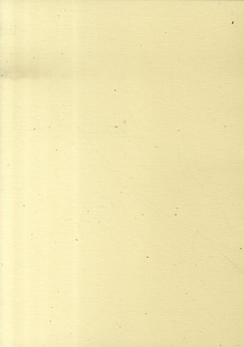 media/pim/TITELIVE/42_9782851946898_4_75.jpg