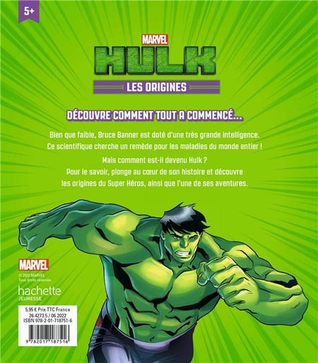 Déguisement de bande dessinée Hulk pour enfants 