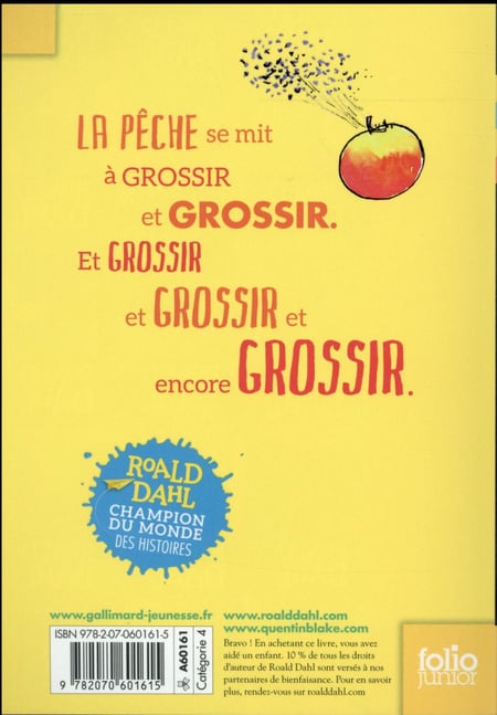 media/pim/TITELIVE/45_9782070601615_4_75.jpg