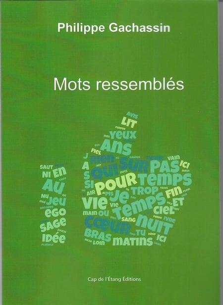 media/pim/TITELIVE/45_9782376132219_4_75.jpg