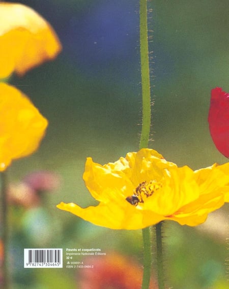 media/pim/TITELIVE/47_9782743304645_4_75.jpg