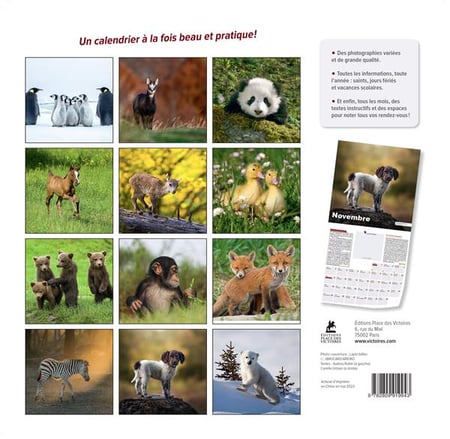 PERIODIQUE CALENDRIER BEBES ANIMAUX 2024