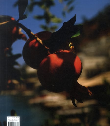 media/pim/TITELIVE/4_9782710371694_4_75.jpg