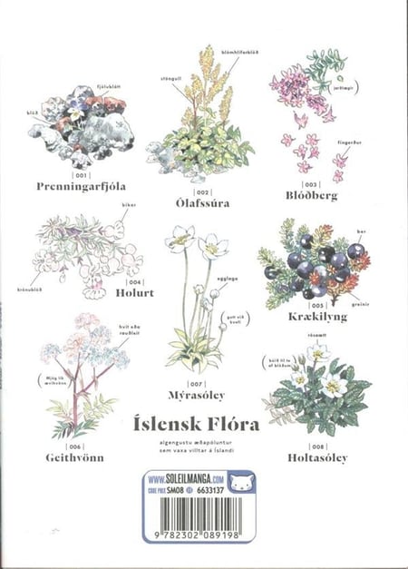 media/pim/TITELIVE/50_9782302089198_4_75.jpg