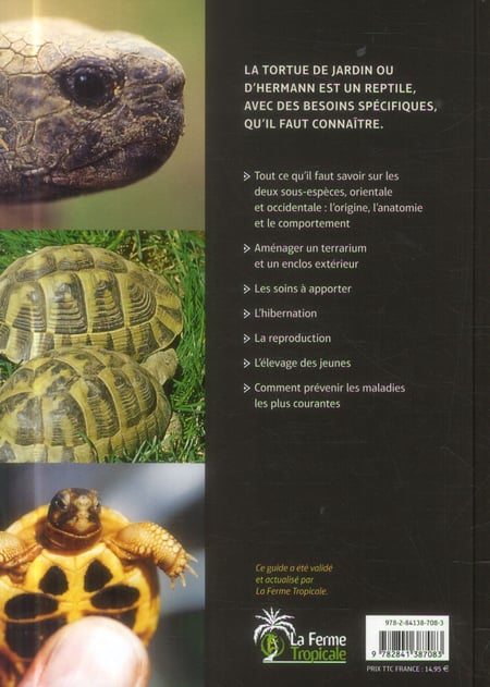 Les conseils et soins à apporter à une tortue terrestre