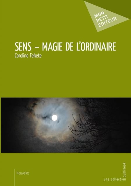 Sens - Magie de l'ordinaire