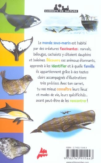 media/pim/TITELIVE/53_9782745915443_4_75.jpg