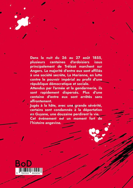 media/pim/TITELIVE/5_9782322662456_4_75.jpg