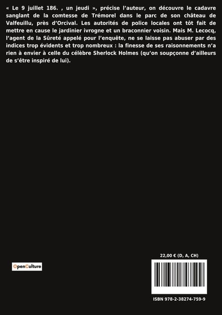 media/pim/TITELIVE/5_9782382747599_4_75.jpg