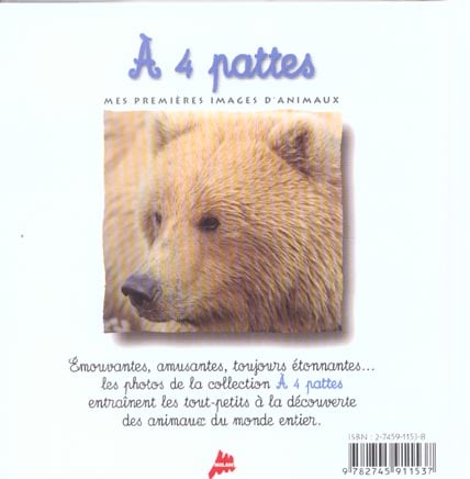 media/pim/TITELIVE/5_9782745911537_4_75.jpg