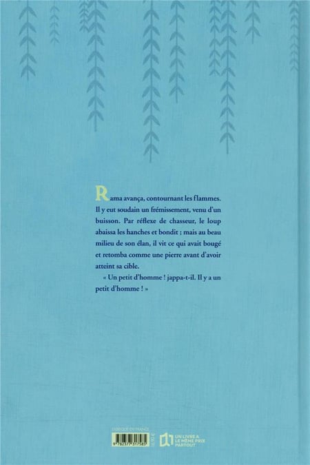 media/pim/TITELIVE/60_9782377317585_4_75.jpg