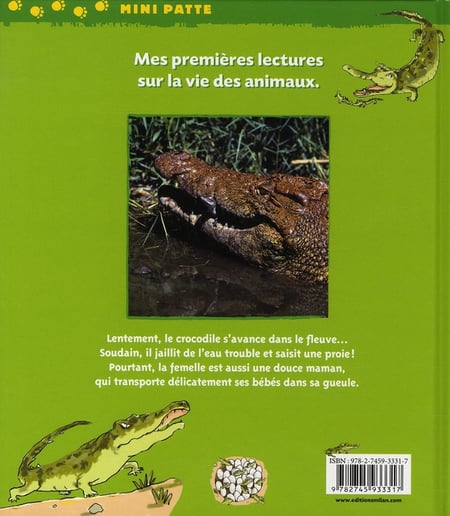 media/pim/TITELIVE/62_9782745933317_4_75.jpg