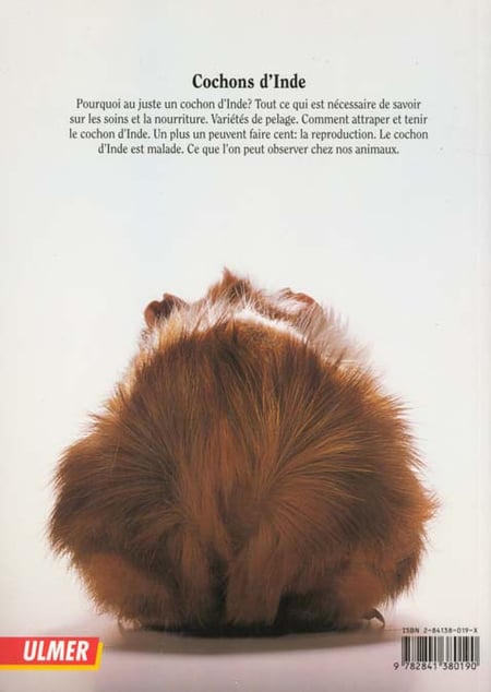 media/pim/TITELIVE/62_9782841380190_4_75.jpg