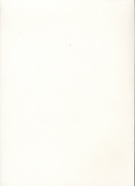 media/pim/TITELIVE/62_9782868101761_4_75.jpg