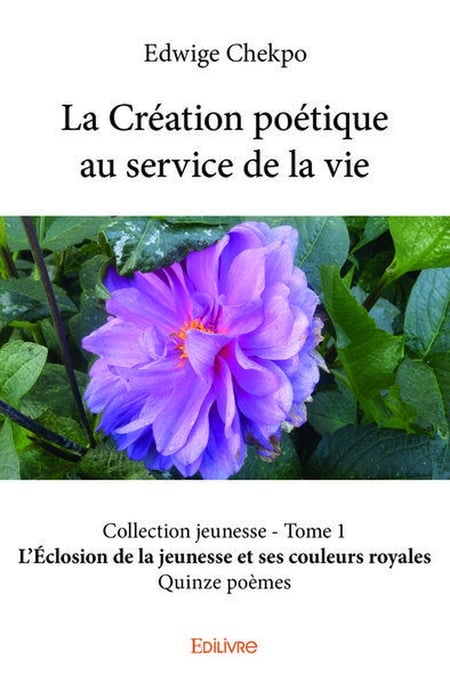 media/pim/TITELIVE/67_9782414034161_1_75.jpg