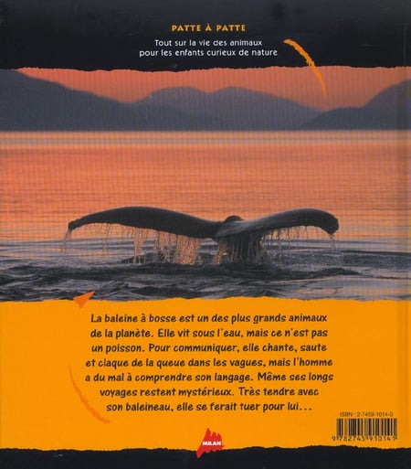 media/pim/TITELIVE/68_9782745910141_4_75.jpg