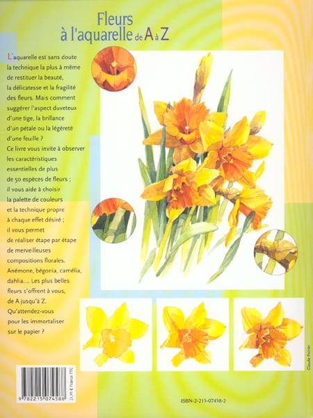 media/pim/TITELIVE/6_9782215074588_4_75.jpg