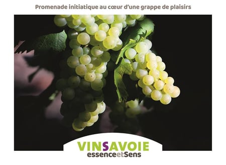media/pim/TITELIVE/6_9782842066628_1_75.jpg