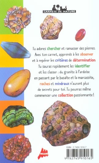 media/pim/TITELIVE/72_9782745910165_4_75.jpg