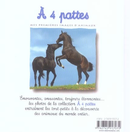 media/pim/TITELIVE/72_9782745917072_4_75.jpg