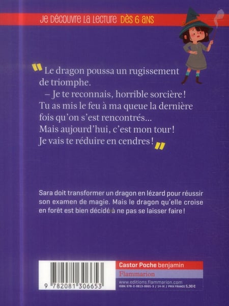 media/pim/TITELIVE/75_9782081306653_4_75.jpg