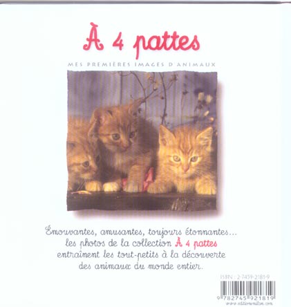 media/pim/TITELIVE/76_9782745921819_4_75.jpg